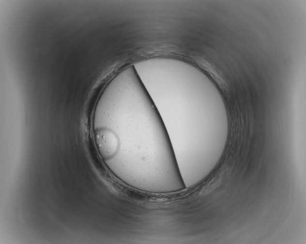 X0000116350634200912011039