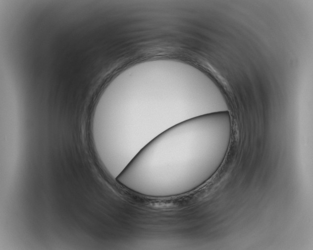 X0000116350637200912011039