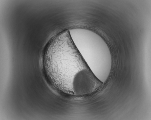 X0000116350638200912011039