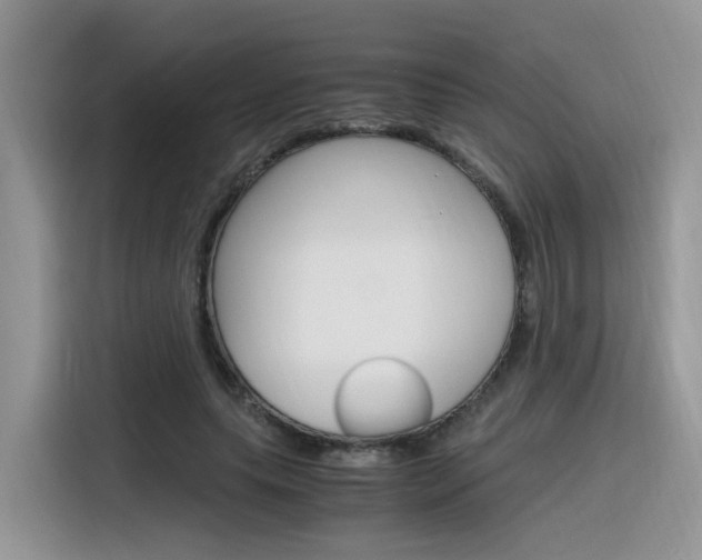 X0000116350639200912011039