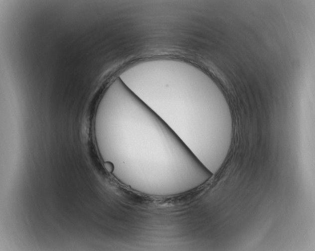 X0000116350640200912011039