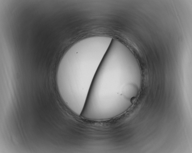 X0000116350641200912011039