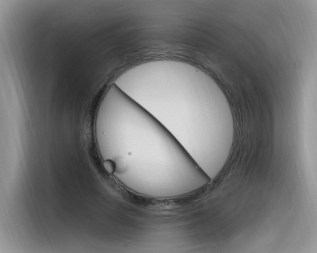 X0000116350642200912011039