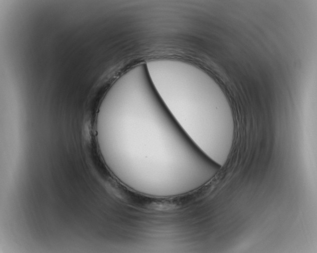 X0000116350644200912011039