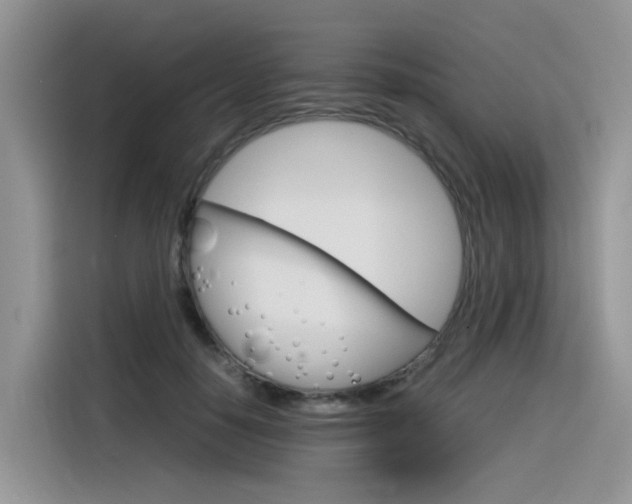 X0000116350650200912011039