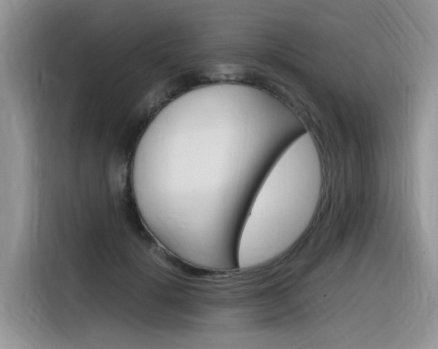 X0000116350652200912011039