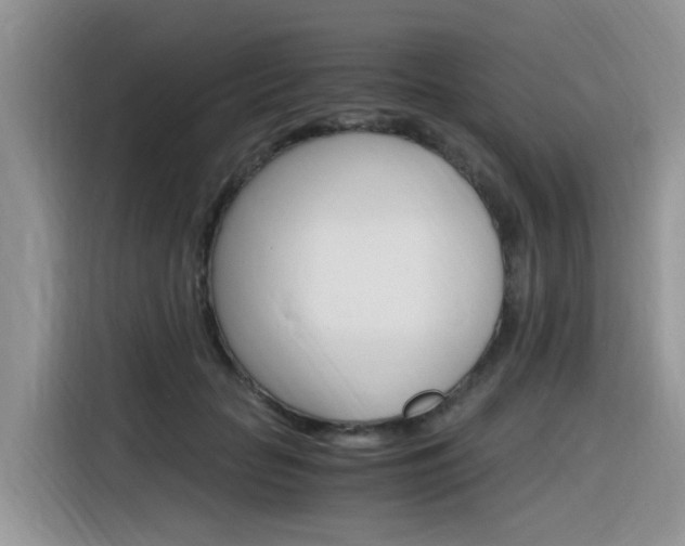 X0000116350653200912011039
