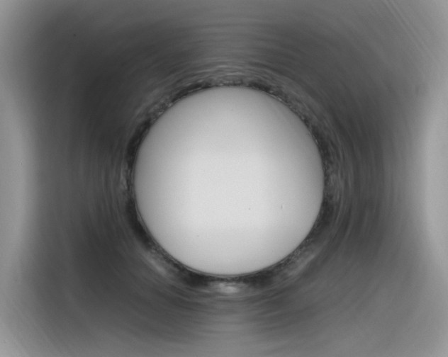 X0000116350654200912011039
