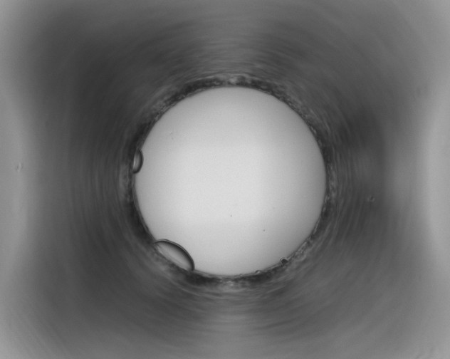 X0000116350656200912011039