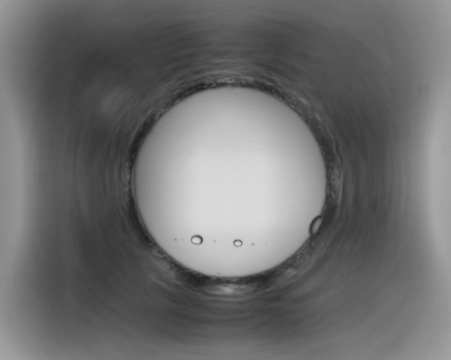 X0000116350657200912011039