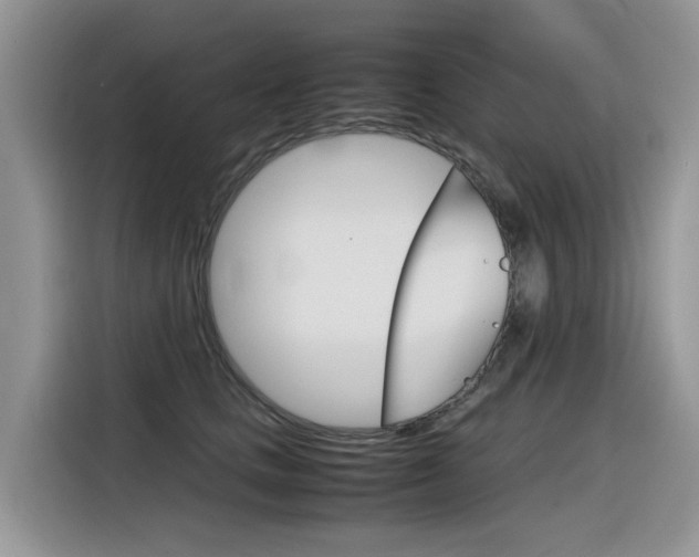 X0000116350661200912011039