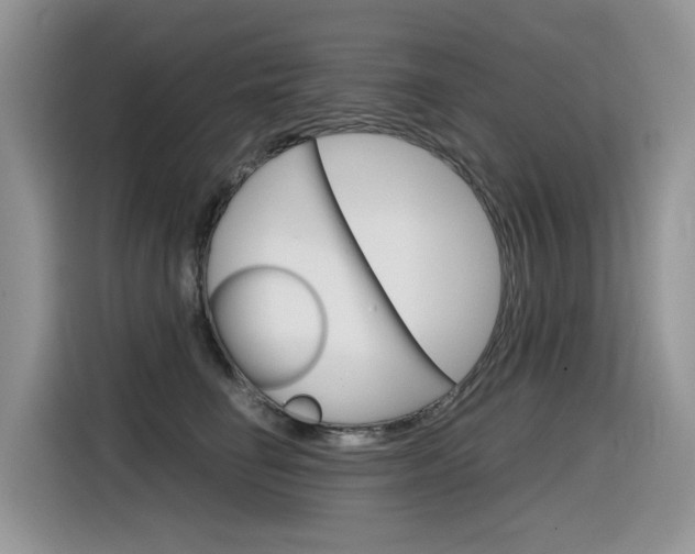 X0000116350662200912011039