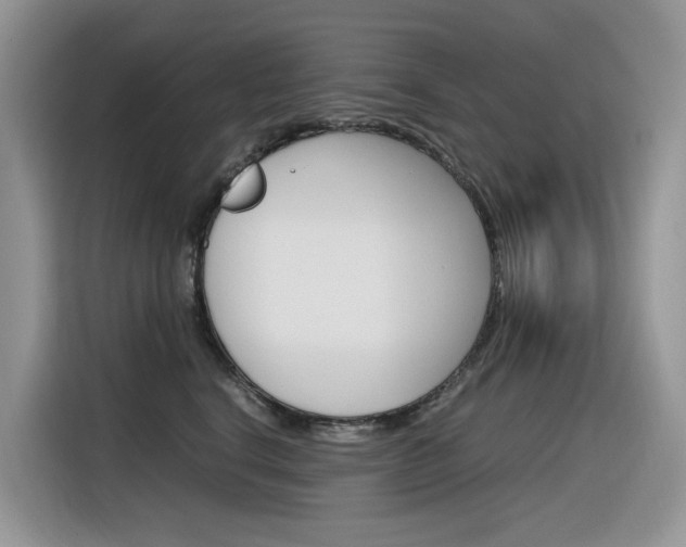X0000116350664200912011039