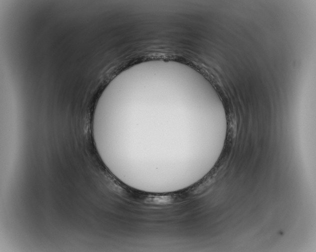 X0000116350665200912011039