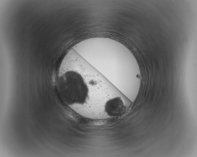 X0000116350668200912011039