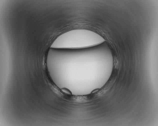 X0000116350670200912011039