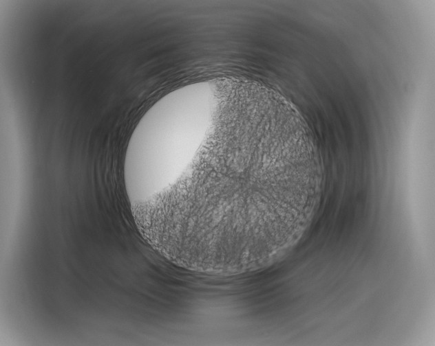 X0000116350671200912011039