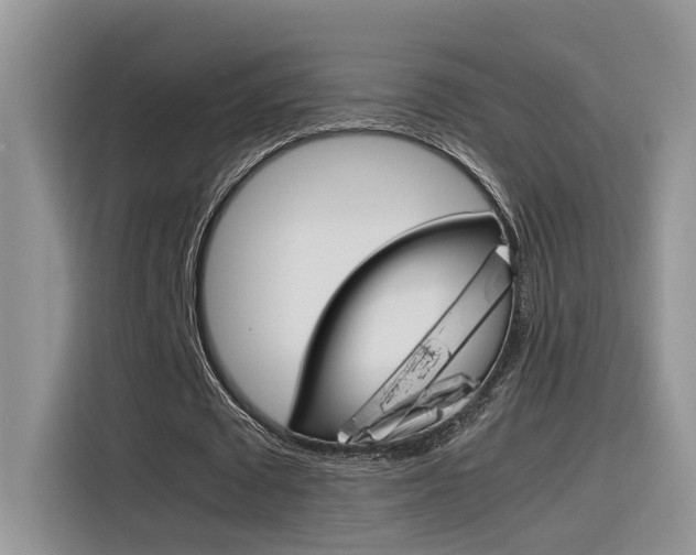 X0000116350673200912011039