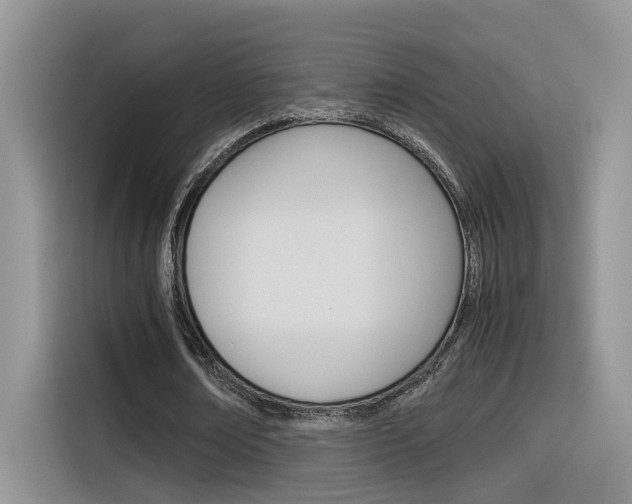 X0000116350674200912011039