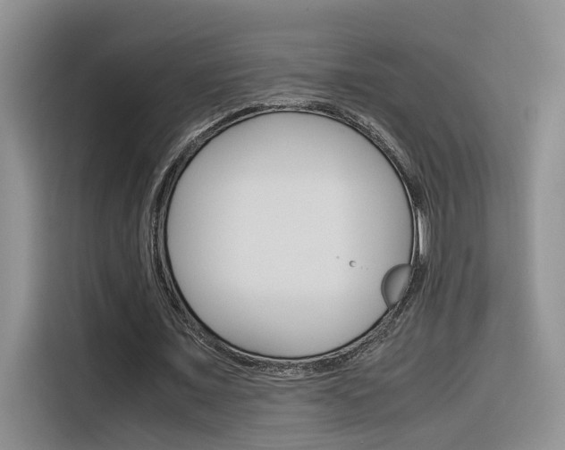 X0000116350675200912011039
