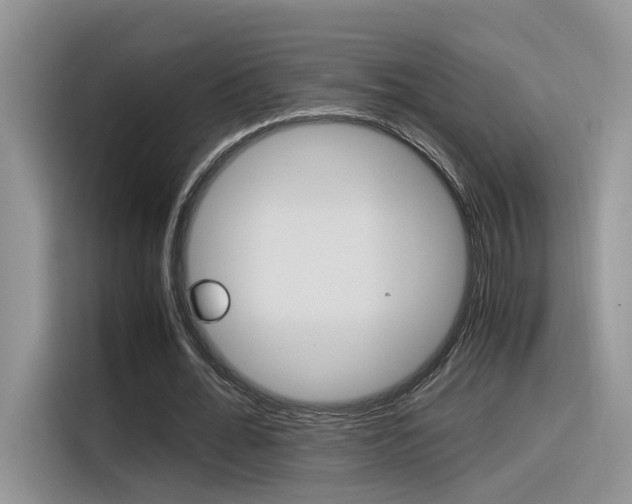 X0000116350676200912011039