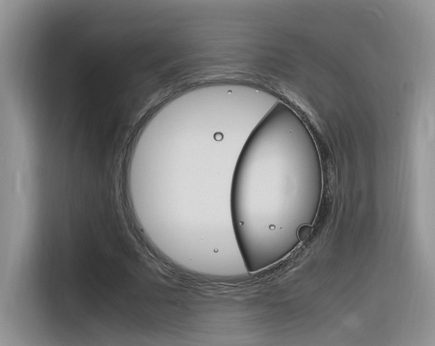 X0000116350681200912011039