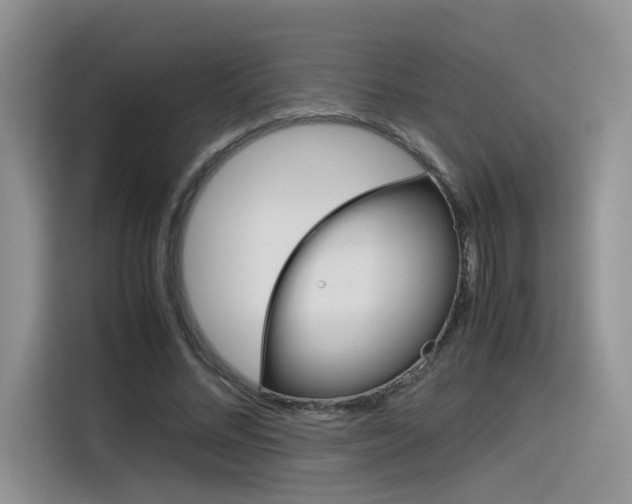 X0000116350684200912011039