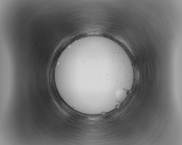 X0000116350686200912011039