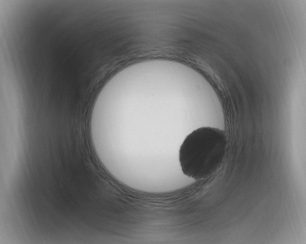 X0000116350689200912011039