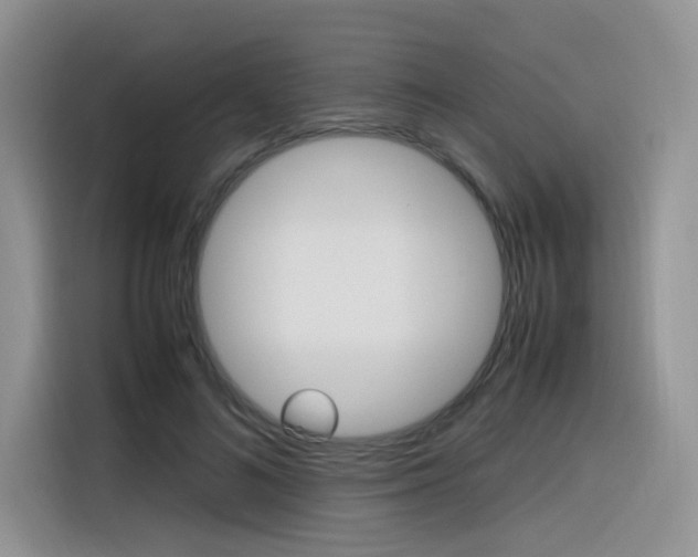 X0000116350692200912011038