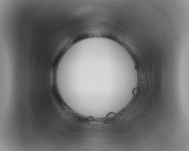 X0000116350694200912011038