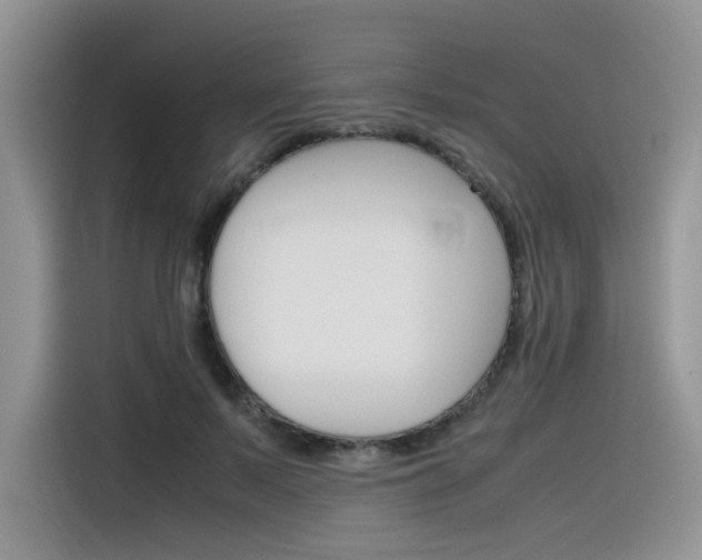 X0000116350695200912011038