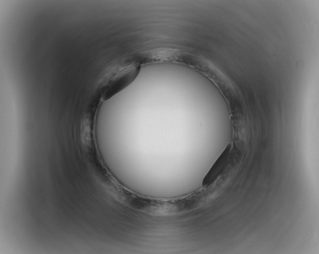 X0000116350696200912011038