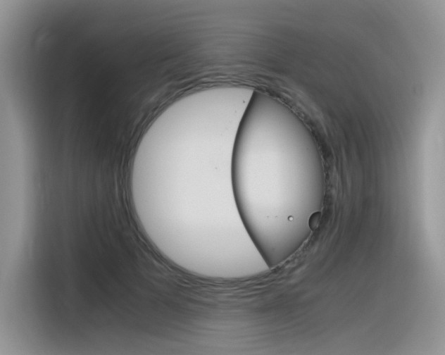 X0000116350697200912011038