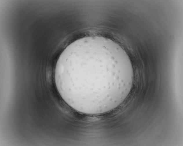 X0000116350698200912011038