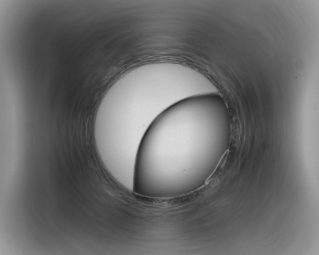 X0000116350704200912011038
