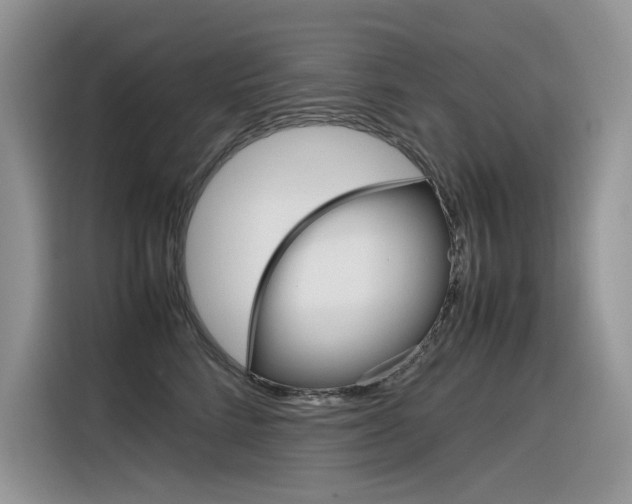 X0000116350712200912011038