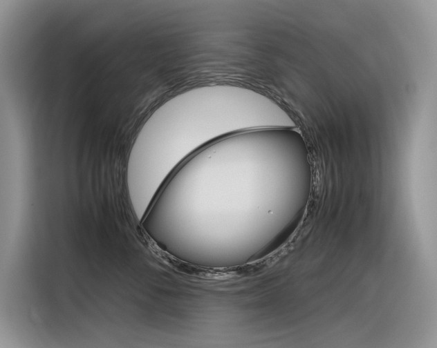 X0000116350716200912011038
