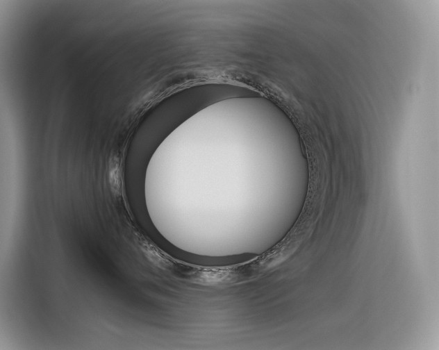 X0000116350720200912011038