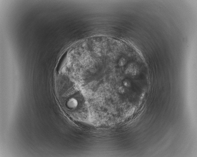 X0000116350721200912011037