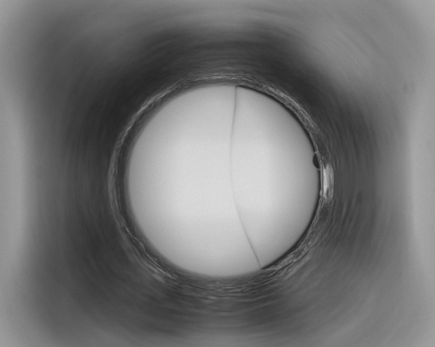 X0000116350723200912011038