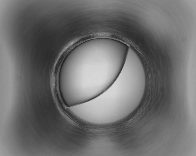 X0000116350726200912011038
