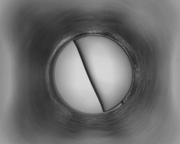 X0000116350727200912011038