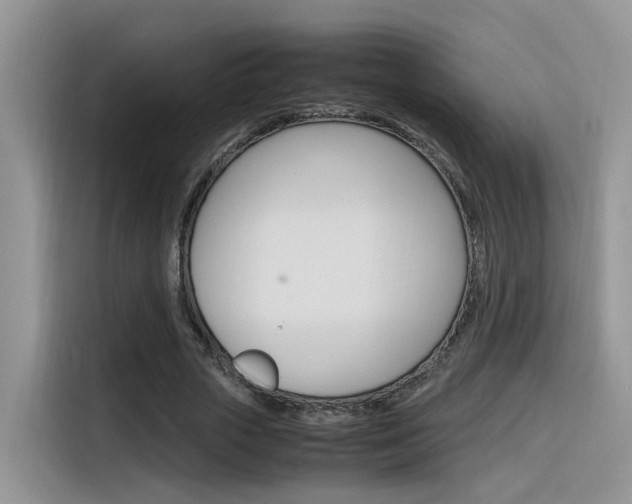 X0000116350729200912011038