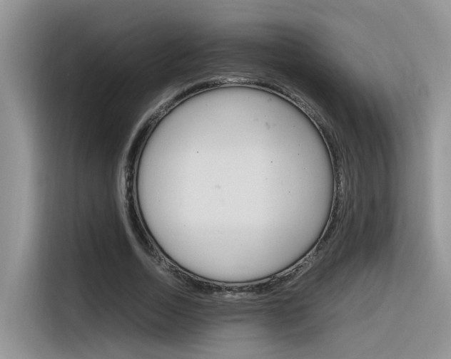 X0000116350730200912011038