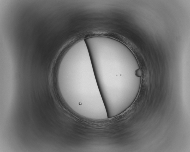 X0000116350731200912011038