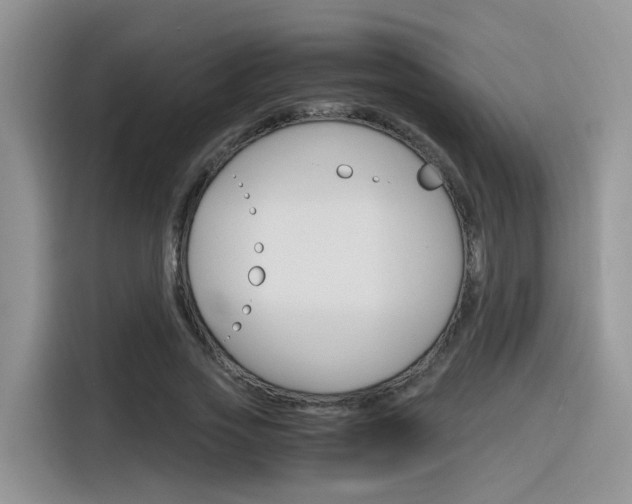X0000116350733200912011038