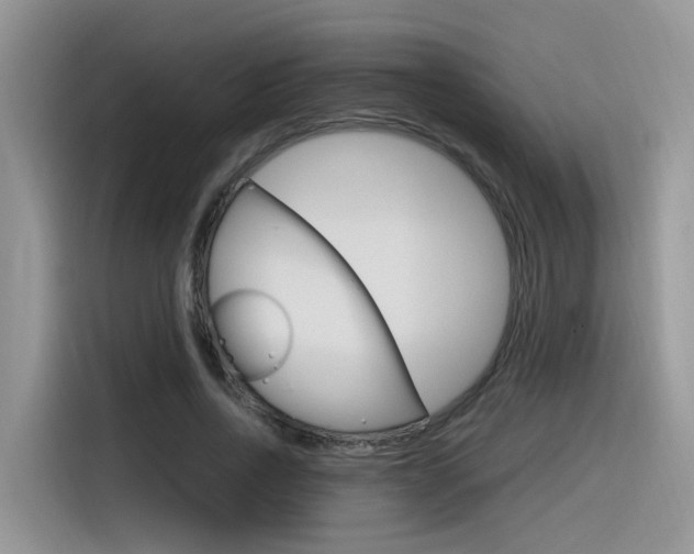 X0000116350734200912011038