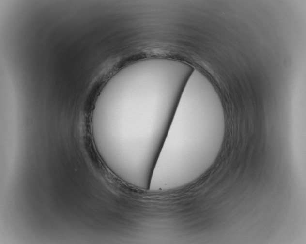 X0000116350738200912011038