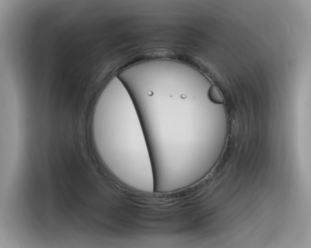 X0000116350739200912011038